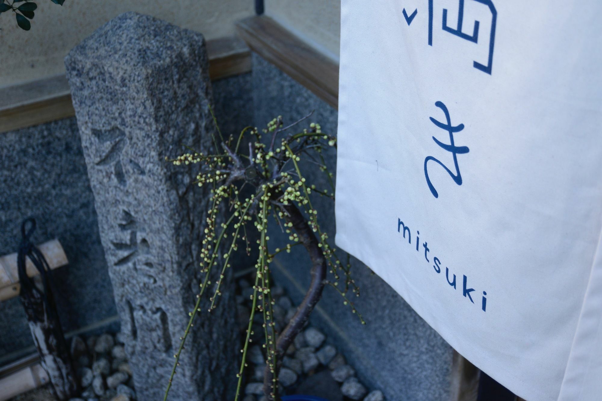 Mitsuki Kyoto Hotel Exterior photo