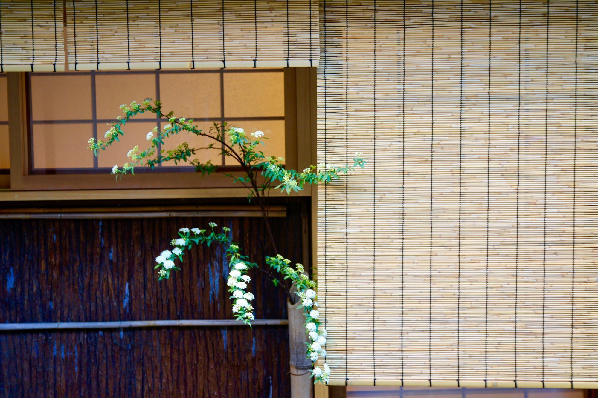 Mitsuki Kyoto Hotel Exterior photo